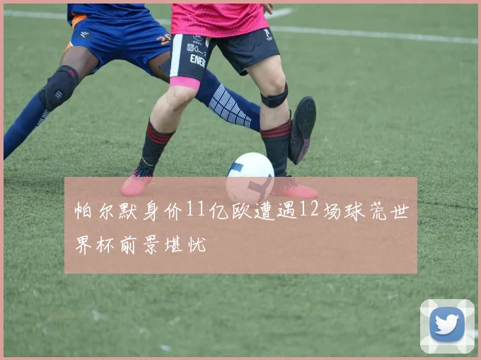 帕尔默身价11亿欧遭遇12场球荒世界杯前景堪忧