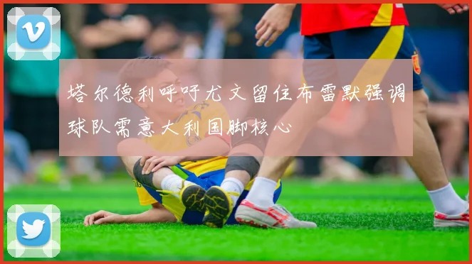 塔尔德利呼吁尤文留住布雷默强调球队需意大利国脚核心