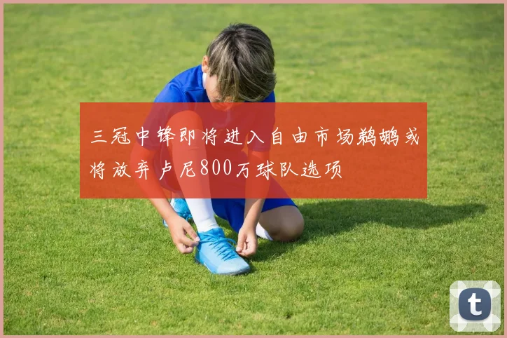三冠中锋即将进入自由市场鹈鹕或将放弃卢尼800万球队选项